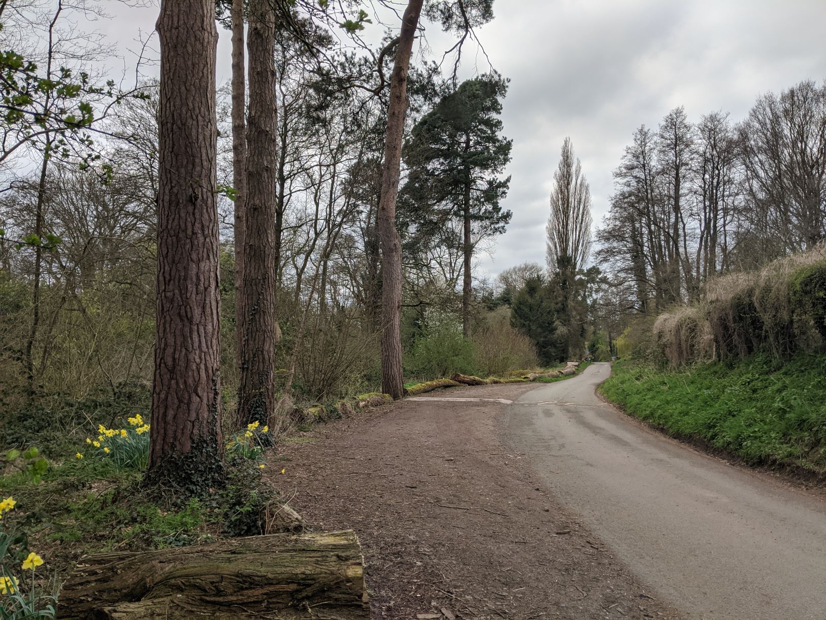 There are lots of nice walks that we could use for our daily excercise - this is Mill Lane on March 31st